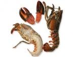 Split Raw Canadian Lobster Split Raw Canadian Lobster